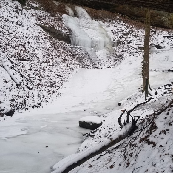 Meet your Posher, Sara - Picture 2 of 8